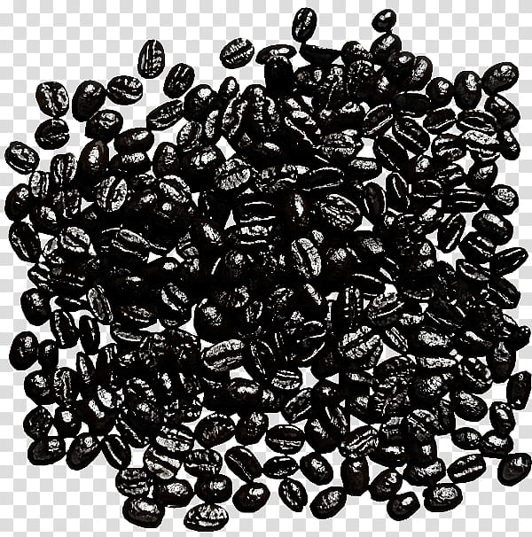 food superfood bean plant seed, Black Gram transparent background PNG clipart