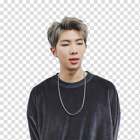 RM BTS transparent background PNG clipart