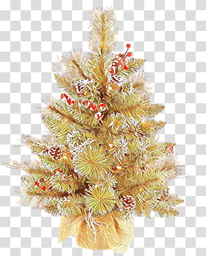 Christmas tree, Colorado Spruce, Christmas Decoration, Oregon Pine, Christmas Ornament, White Pine, Plant, Holiday Ornament transparent background PNG clipart thumbnail