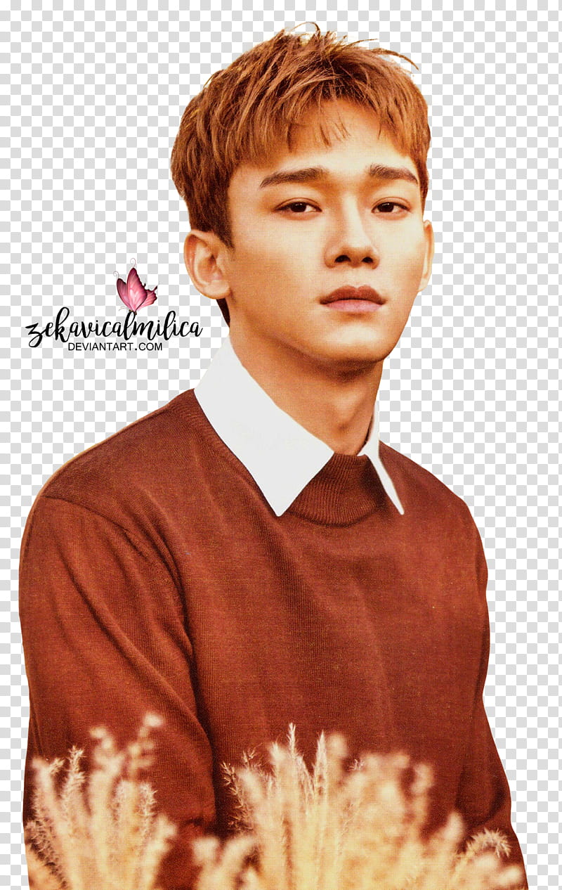 EXO Nature Republic, man in brown and beige sweatshirt transparent background PNG clipart