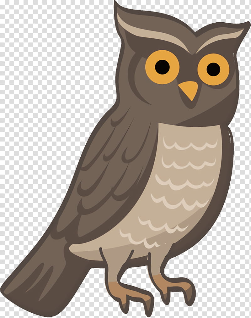 owl halloween owl halloween, Halloween , Bird, Bird Of Prey, Eastern Screech Owl, Cartoon, Western Screech Owl, Beak transparent background PNG clipart