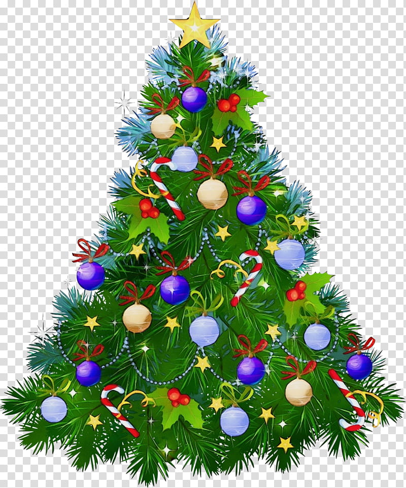 Christmas tree, Watercolor, Paint, Wet Ink, Christmas Decoration, Colorado Spruce, Oregon Pine, Christmas Ornament transparent background PNG clipart Christmas tree, Watercolor, Paint, Wet Ink, Christmas Decoration, Colorado Spruce, Oregon Pine, Christmas Ornament transparent background PNG clipart