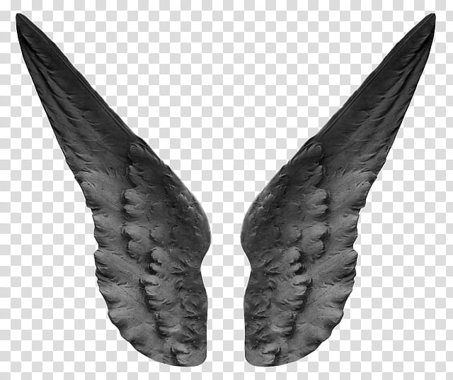Watcher , pair of gray ceramic wings transparent background PNG clipart