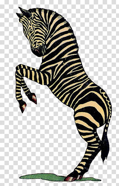 Circus, Drawing, Zebra, Dance, Painting, 2018, Wildlife, Tiger transparent background PNG clipart