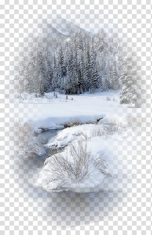 Family Tree, Landscape, Winter
, Landscape Painting, Fukei, Snow, Nature, Freezing transparent background PNG clipart
