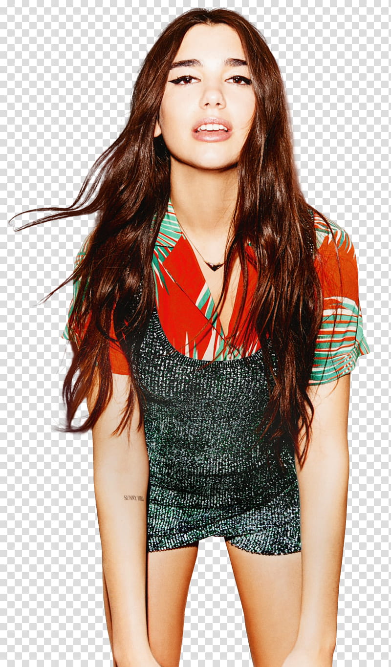 Dua Lipa, Dua lipa kneeling transparent background PNG clipart