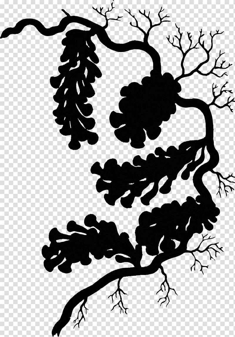 Family Tree Silhouette, Grape, Visual Arts, Floral Design, Drawing, Leaf, Plant Stem, Branch transparent background PNG clipart