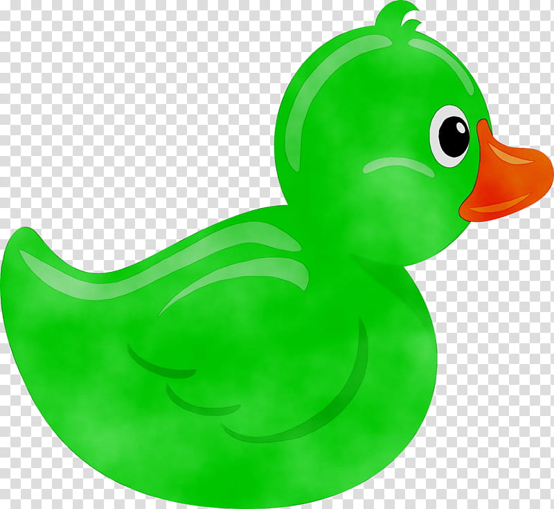 Water, Duck, Swans, Goose, Ducks, Beak, Water Bird, Animal transparent background PNG clipart