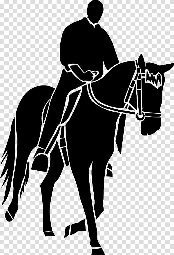 Horse, Decal, Sticker, Mustang, Pony, Jinete, Drawing, English Riding transparent background PNG clipart