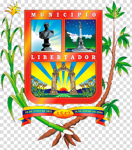 Tree Symbol, 23 De Enero, Valencia, Caracas, Libertador Bolivarian Municipality, Carabobo, Venezuela, Recreation transparent background PNG clipart