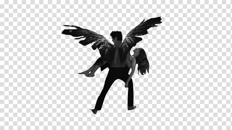 Hush Hush book, man with wings carrying woman on air transparent background PNG clipart