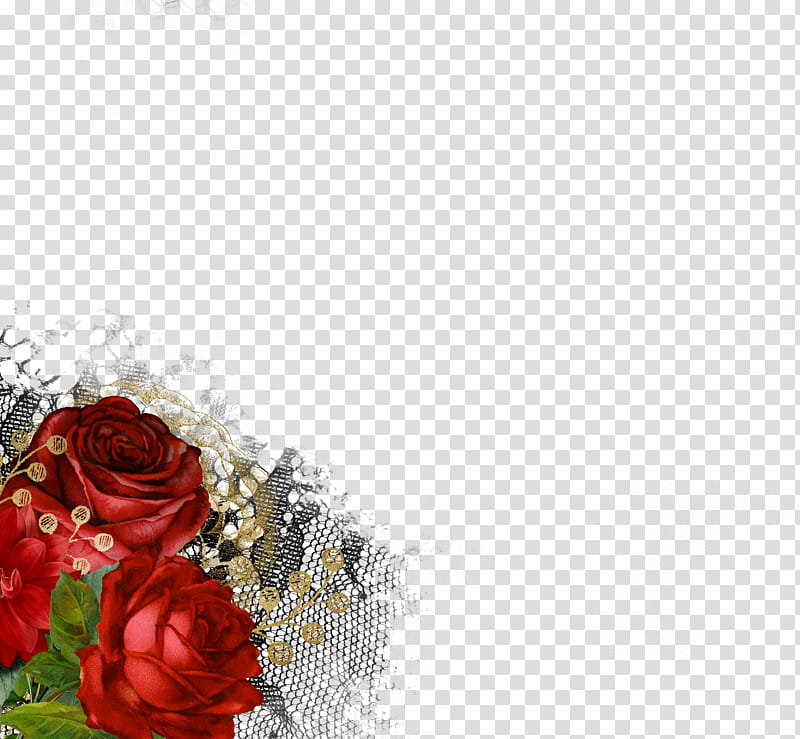 Shab, red rose illustration transparent background PNG clipart