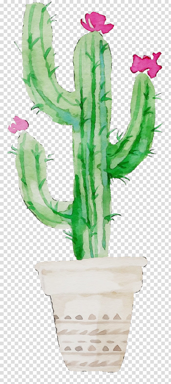 Cactus, Watercolor, Paint, Wet Ink, Flowerpot, Plant, Thorns Spines And Prickles, Pink transparent background PNG clipart