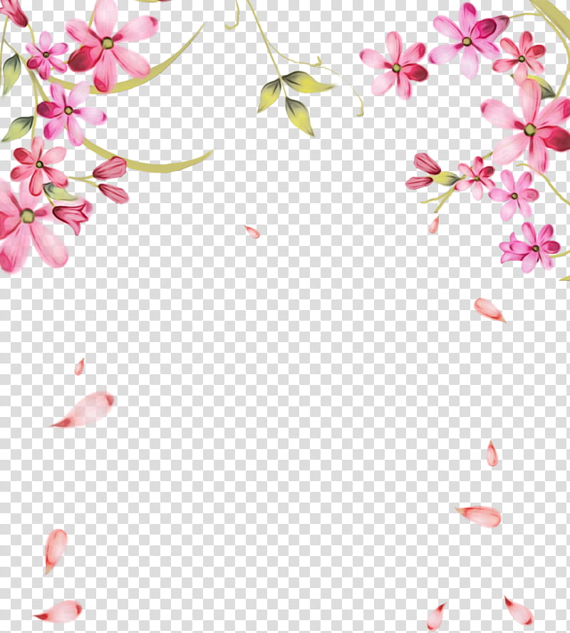 Background Womens Day, Petal, Flower, Valentines Day, International Womens Day, Rose, Floral Design, Love transparent background PNG clipart