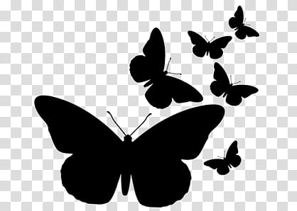 Bufferfly, six black butterflies transparent background PNG clipart