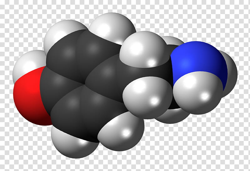 Brain, Norepinephrine, Dopamine, Adrenaline, Hormone, Serotonin, Health, Norepinephrine Reuptake Inhibitor transparent background PNG clipart