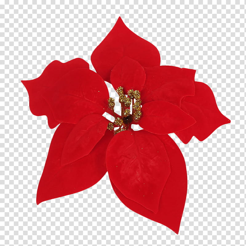 Xmas  Watchers, red poinsettia transparent background PNG clipart