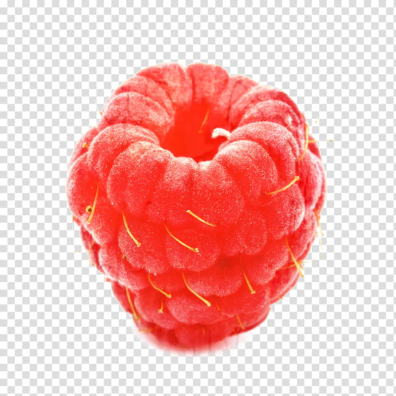 Fruit, Berries, Raspberry Pi, Orange Sa, Doughnut, Food, Plant, Pastry transparent background PNG clipart