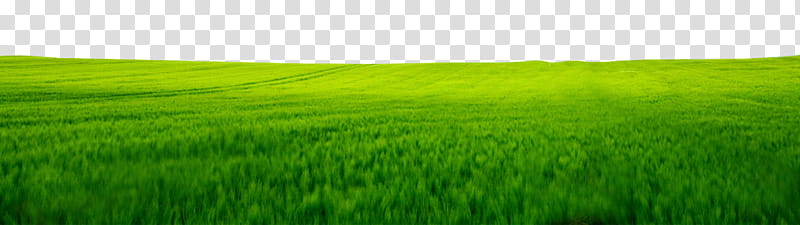Greenland, grass field during daytime transparent background PNG clipart