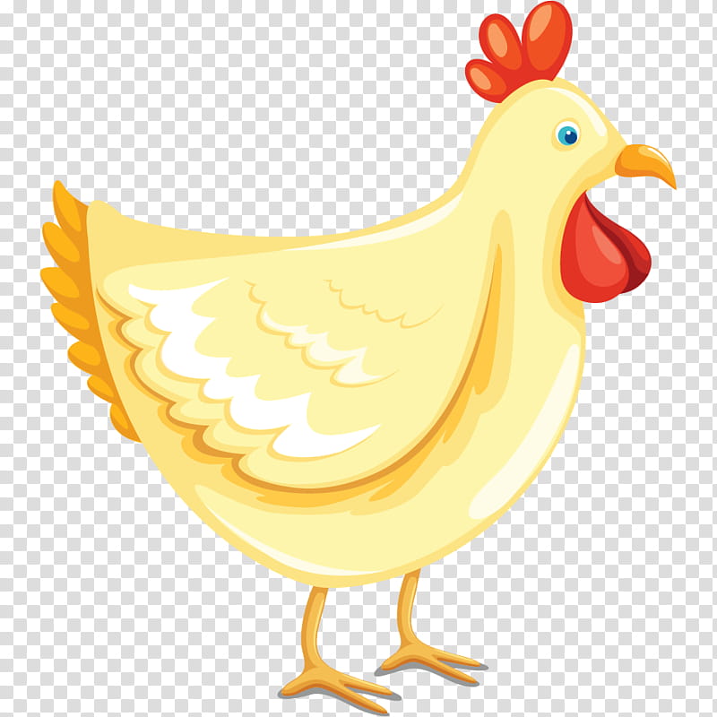 Cartoon Bird, Chicken, Rooster, Drawing, Animal, Cartoon, Food, Bauernhof transparent background PNG clipart