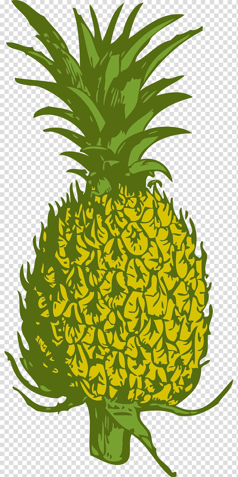 Flower Drawing, Pineapple, Ananas, Plant, Fruit, Yellow, Leaf, Food transparent background PNG clipart