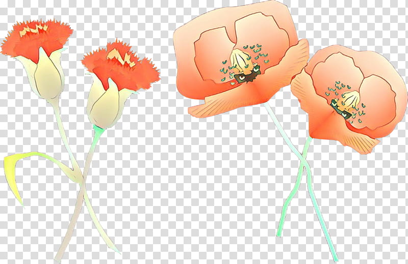 flower plant cut flowers petal plant stem, Poppy Family, Tulip transparent background PNG clipart