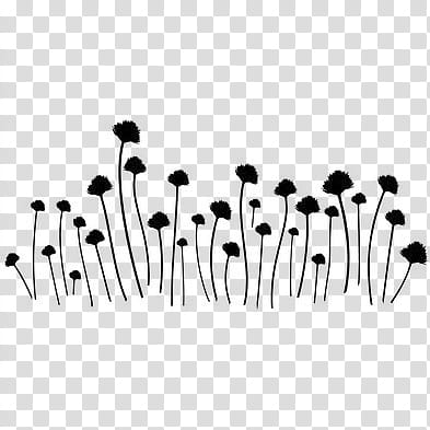 Flowers  PS Brushes, black flower illustrations transparent background PNG clipart