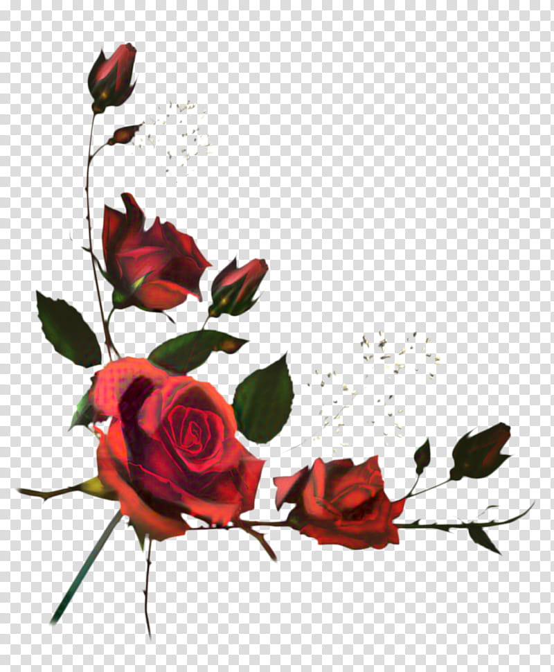 Drawing Of Family, Rose, Architecture, Silhouette, Realism, cdr, Flower, Red transparent background PNG clipart
