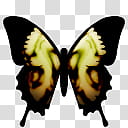 Butterfly Cam, ButterflyCam_Yellow_A icon transparent background PNG clipart