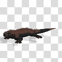 Spore creature Marine iguana , brown lizard illustrationb transparent background PNG clipart