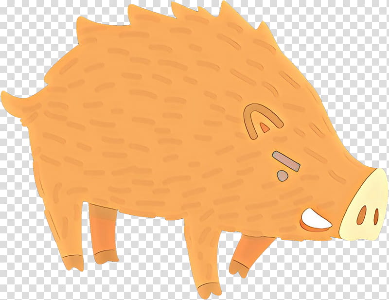 boar hedgehog live snout suidae, Live, Erinaceidae transparent background PNG clipart