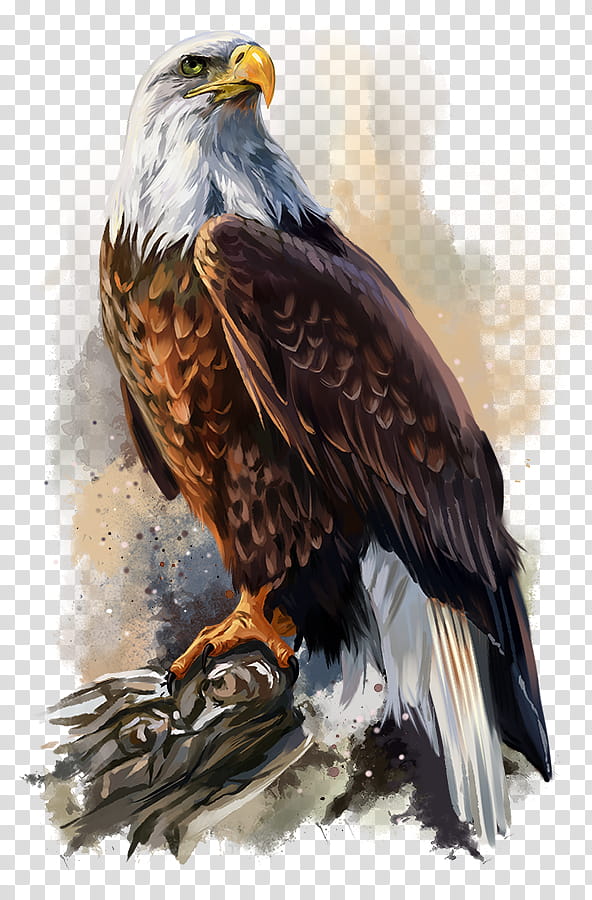 Golden Abstract, Bald Eagle, Painting, Watercolor Painting, Oil Painting, Drawing, Art, Paint By Number transparent background PNG clipart