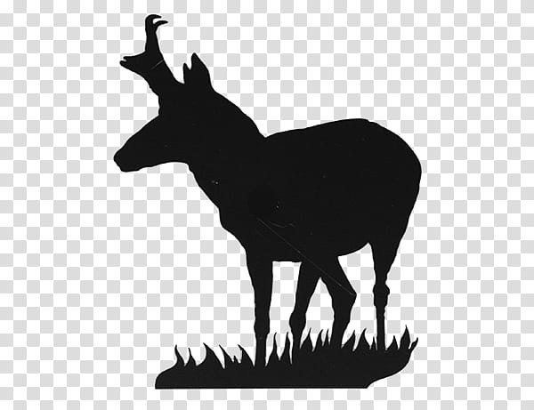 Road, Antelope, Pronghorn, Elk, Pronghorn Antelope, Deer, Silhouette, Drawing transparent background PNG clipart