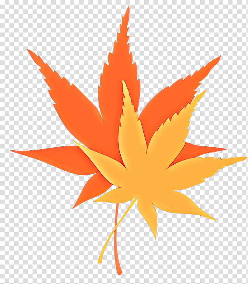 Maple leaf, Cartoon, Tree, Plant, Orange, Sweet Gum, Woody Plant, Flowering Plant transparent background PNG clipart