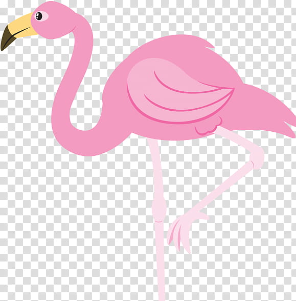 Flamingo, Greater Flamingo, Bird, Pink, Water Bird, Beak transparent background PNG clipart