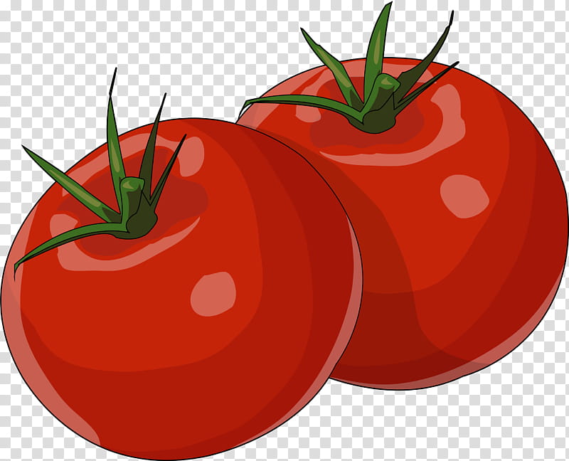 Drawing Of Family, Plum Tomato, Cherry Tomato, Food, Pizza, Tomato Sauce, Vegetable, Tomato Juice transparent background PNG clipart