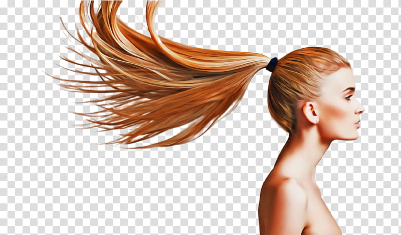 hair hair coloring skin hairstyle blond, Beauty, Chin, Brown Hair, Ear, Long Hair transparent background PNG clipart