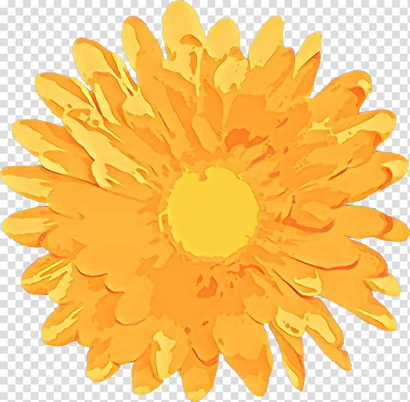 Flowers, Chrysanthemum, Common Daisy, Petal, Cut Flowers, Yellow, English Marigold, Orange transparent background PNG clipart