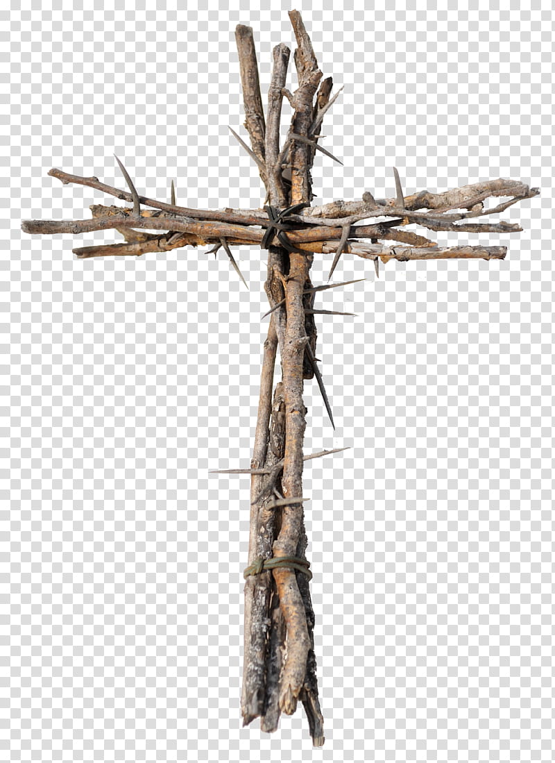 Tree Root, Luck, Pinterest, Symbol, Idea, Good, Cross, Branch transparent background PNG clipart