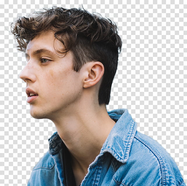 Troye Sivan transparent background PNG clipart