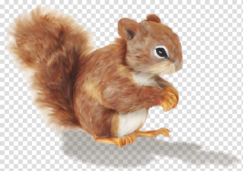 Fox Drawing, Chipmunk, Squirrel, Cartoon, Tree Squirrel, Painting, Animal, Flying Squirrel transparent background PNG clipart