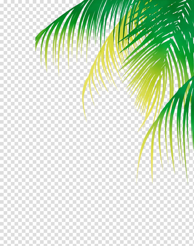 Palm Tree, Watercolor, Paint, Wet Ink, Palm Trees, Leaf, Banco De ns, Plants transparent background PNG clipart