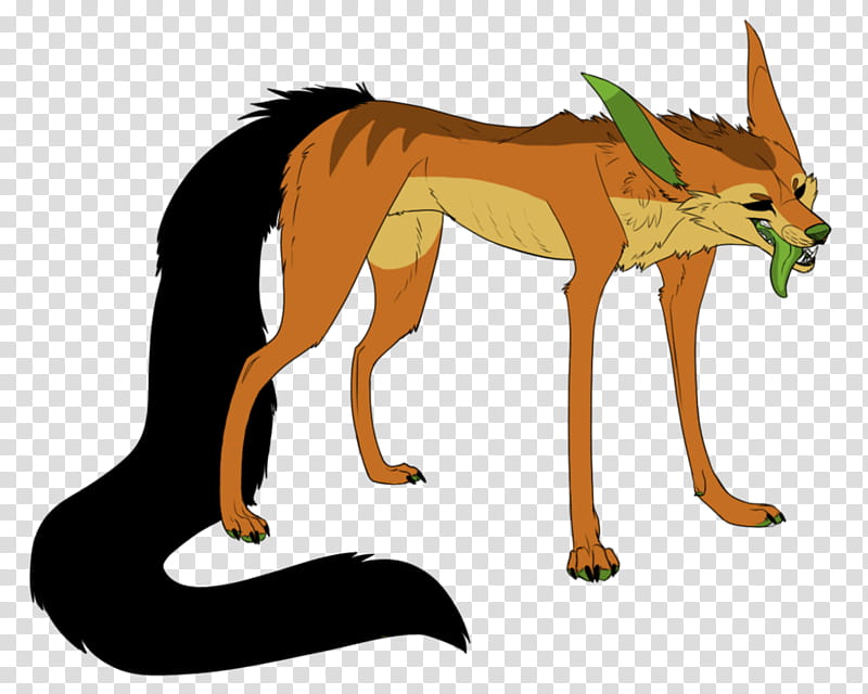 Dog And Cat, RED Fox, Character, Roleplaying, Character Creation, Neck, Worldbuilding, Community transparent background PNG clipart