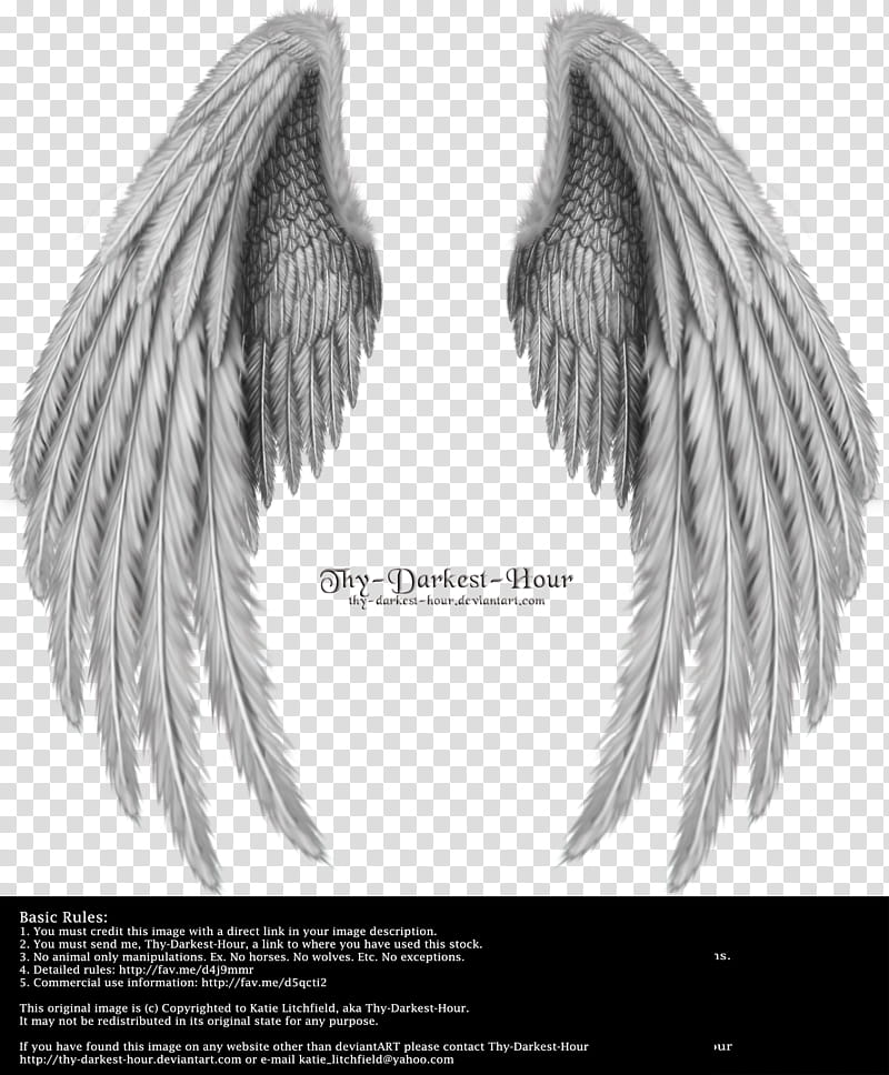 Winged Fantasy V  Silver, gray wing transparent background PNG clipart