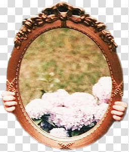 , oval mirror with brown wooden frame transparent background PNG clipart