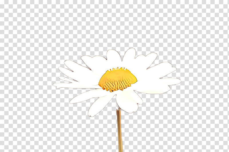 Daisy, Cartoon, Yellow, Camomile, Chamomile, Mayweed, Flower, Dandelion transparent background PNG clipart