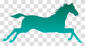 green horse wallpaper transparent background PNG clipart thumbnail