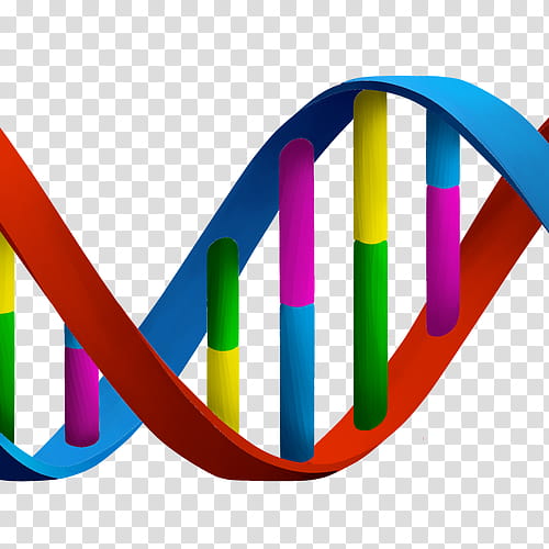 Double Helix, Dna, Nucleic Acid Double Helix, Biology , Rna, Genetics ...