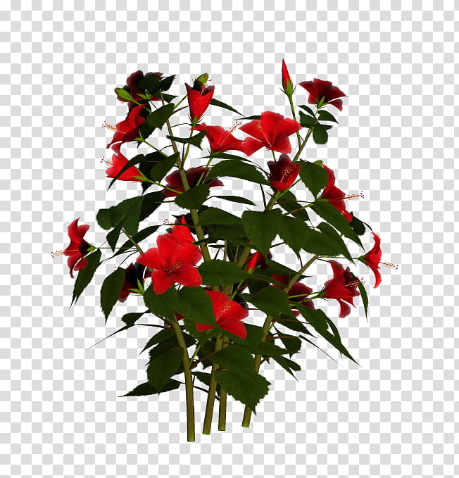 TWD Hibiscus Flowers, red petaled flowers transparent background PNG clipart