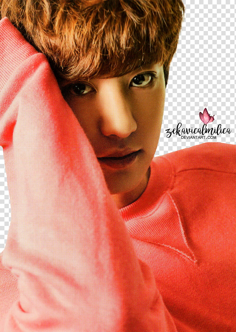 EXO Chanyeol EXO L Japan Vol , man in orange sweater posing for transparent background PNG clipart